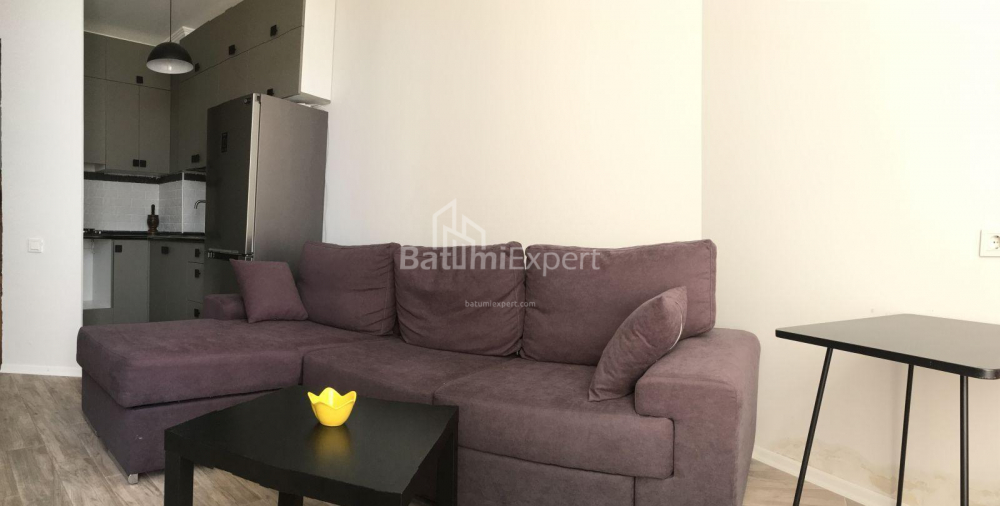 Բնակարան 48 մ² - Ալեքսանդրա Պուշկին, Batumi, Վրաստан