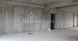 Բնակարան 2-комн 172.8 m² - Լեխ և Մարիա Կաչինսկիներ, Batumi