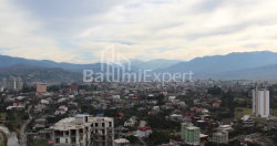 Բնակարան 2-комн 63.6 m² - Լեխ և Մարիա Կաչինսկիներ, Batumi