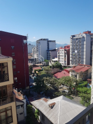 Բնակարան 2-комн 48 m² - Վախթանգ Գորգասալի, Batumi