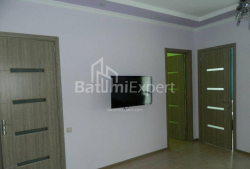 Բնակարան 3-комн 56 m² - Նիկո Փիրոսմանի, Batumi