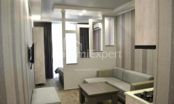 Բնակարան 1-комн 33 m² - Նիկո Փիրոսմանի, Batumi
