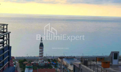 Բնակարան 1-комн 33 m² - Նիկո Փիրոսմանի, Batumi