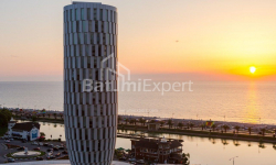 Բնակարան 1-комн 30 m² - Զուրաբա Գորգիլաձե, Batumi