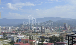 Բնակարան 1-комн 31 m² - Նիկո Փիրոսմանի, Batumi