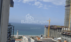Բնակարան 1-комн 31 m² - Նիկո Փիրոսմանի, Batumi
