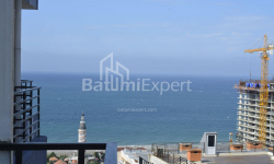 Բնակարան 1-комн 33 m² - Նիկո Փիրոսմանի, Batumi