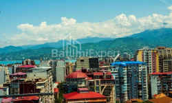 Բնակարան 3-комн 62 m² - Վախթանգ Գորգասալի, Batumi