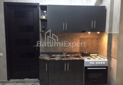Բնակարան 2-комн 47 m² - Վախթանգ Գորգասալի, Batumi