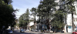 Բնակարան 3-комн 61 m² - Նիկոլոզ Բարաթաշվիլի, Batumi