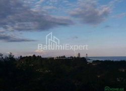 Հողամաս 300 m² - Յուրիևսկայա, Batumi