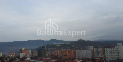 Բնակարան 1-комн 41 m² - Իլյա Ճավճավաձե, Batumi