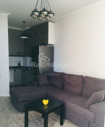 Բնակարան 2-комн 48 m² - Ալեքսանդրա Պուշկին, Batumi