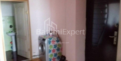 Բնակարան 3-комн 77 m² - Ալեքսանդրա Պուշկին, Batumi
