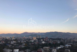 Բնակարան 1-комн 36 m² - Գրիգոլա Էլիավա, Batumi