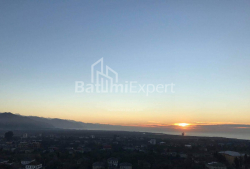Բնակարան 1-комн 36 m² - Գրիգոլա Էլիավա, Batumi