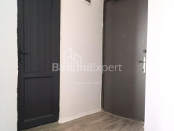 Բնակարան 2-комн 48 m² - Ալեքսանդրա Պուշկին, Batumi