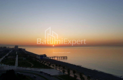 Բնակարան 2-комн 48 m² - Շերիֆ Խիմշիաշվիլի, Batumi