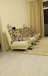 Բնակարան 2-комн 55 m² - Միխայիլ Լերմոնտով, Batumi