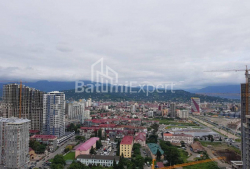 Բնակարան 45 մ² - Զուրաբա Գորգիլաձե, Batumi, Վրաստан