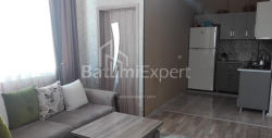 Բնակարան 3-комн 66 m² - Ալեքսանդրա Պուշկին, Batumi