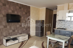 Բնակարան 1-комн 33 m² - Շերիֆ Խիմշիաշվիլի, Batumi