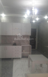 Բնակարան 1-комн 32 m² - Նիկո Փիրոսմանի, Batumi