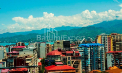 Բնակարան 3-комн 62 m² - Վախթանգ Գորգասալի, Batumi