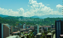 Բնակարան 3-комн 62 m² - Վախթանգ Գորգասալի, Batumi