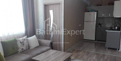 Բնակարան 3-комн 66 m² - Ալեքսանդրա Պուշկին, Batumi