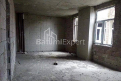 Բնակարան 1-комн 43 m² - Իվանե Ջավախիշվիլի, Batumi