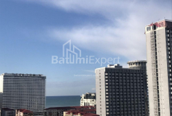 Բնակարան 3-комн 53 m² - Նիկո Փիրոսմանի, Batumi