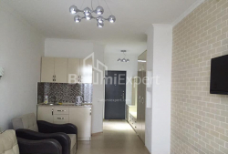 Բնակարան 1-комн 35 m² - Նիկո Փիրոսմանի, Batumi