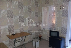 Բնակարան 1-комн 60 m² - Ալեքսանդրա Պուշկին, Batumi