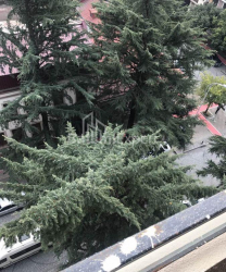 Բնակարան 70 մ² - Յուրիևսկայա, Batumi, Վրաստан