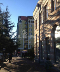 Բնակարան 2-комн 58 m² - Իլյա Ճավճավաձե, Batumi
