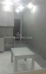 Բնակարան 1-комн 32 m² - Նիկո Փիրոսմանի, Batumi