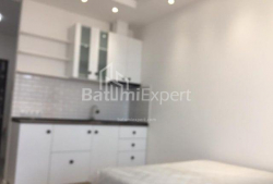 Բնակարան 1-комн 32 m² - Նիկո Փիրոսմանի, Batumi