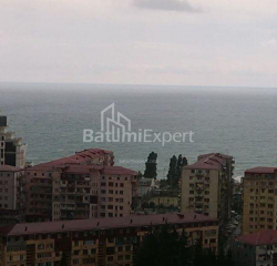 Բնակարան 1-комн 50 m² - Թբել-Աբուսերիձե, Batumi