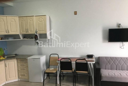 Բնակարան 1-комн 38 m² - Յուրիևսկայա, Batumi