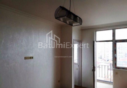 Բնակարան 1-комн 46 m² - Իլյա Ճավճավաձե, Batumi