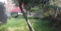 Բնակարան 8-комн 250 m² - Յուրիևսկայա, Batumi