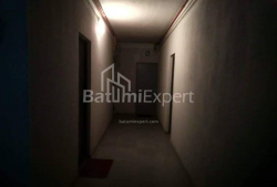 Բնակարան 3-комн 68 m² - Դեմետր Թավդադեբուլի, Batumi