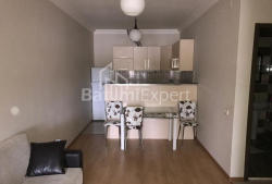 Բնակարան 2-комн 45 m² - Իվանե Ջավախիշվիլի, Batumi