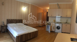 Բնակարան 1-комн 33 m² - Շերիֆ Խիմշիաշվիլի, Batumi