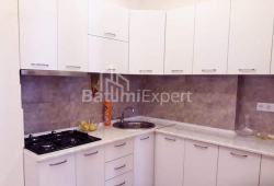 Բնակարան 2-комн 53 m² - Ալեքսանդրա Պուշկին, Batumi