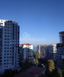 Բնակարան 2-комн 35 m² - Նիկո Փիրոսմանի, Batumi