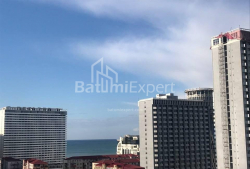 Բնակարան 3-комн 53 m² - Նիկո Փիրոսմանի, Batumi