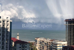 Բնակարան 3-комн 53 m² - Նիկո Փիրոսմանի, Batumi