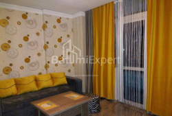 Բնակարան 2-комн 42 m² - Նիկո Փիրոսմանի, Batumi